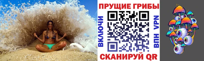 Галлюциногенные грибы Psilocybe  блэк спрут ссылка  Демидов  цена наркотик 